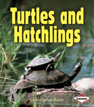 Kniha Turtles and Hatchlings Ann-Marie Kishel
