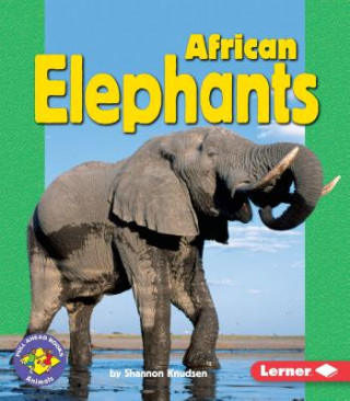 Carte African Elephants Shannon Knudsen