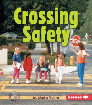 Kniha Crossing Safety Sheila Rivera