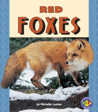 Książka Red Foxes Michelle Levine