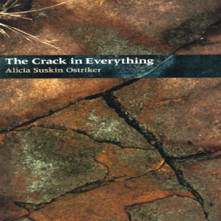 Książka The Crack in Everything Alicia Suskin Ostriker