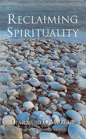 Book Reclaiming Spirituality Diarmuid O'Murchu