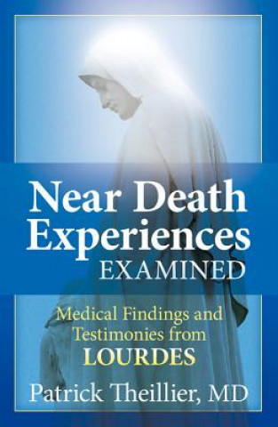 Книга Near Death Experience Examined Patrick Theillier