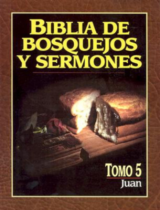 Kniha Biblia de Bosquejos y Sermones-RV 1960-Juan Editorial Portavoz
