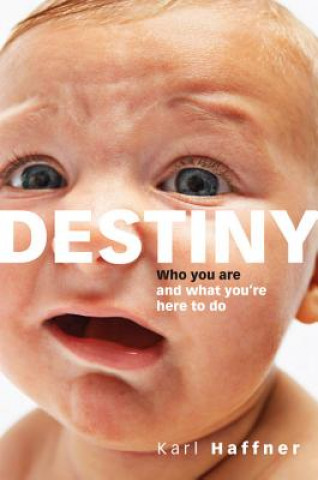 Knjiga Destiny: Who You Are and What You're Here to Do Karl Haffner