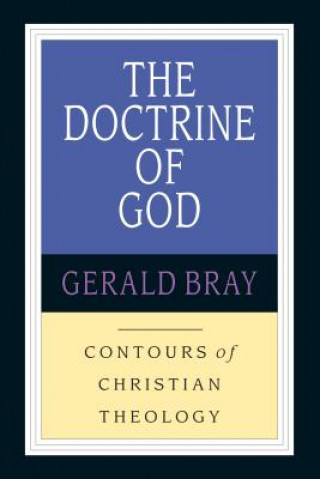 Książka The Doctrine of God: God & the World in a Transitional Age Gerald Bray