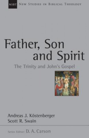 Kniha Father, Son and Spirit: The Trinity and John's Gospel Andreas J. Kostenberger