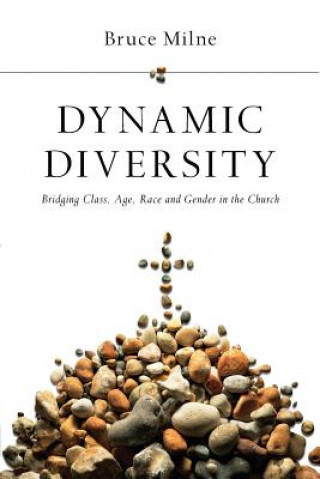 Kniha Dynamic Diversity: Bridging Class, Age, Race and Gender in the Church Bruce Milne