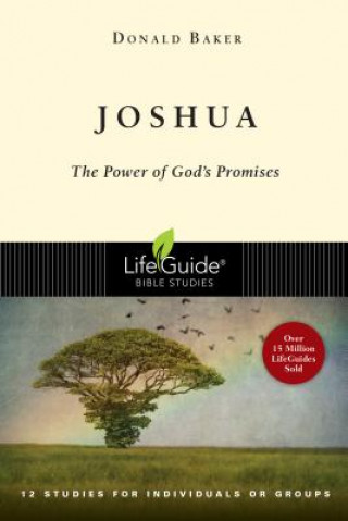 Carte Joshua: The Power of God's Promises Donald Baker