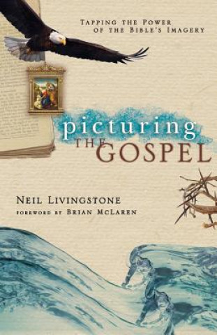 Kniha Picturing the Gospel Neil Livingstone