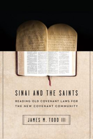 Kniha Sinai and the Saints Jay Todd