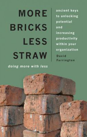 Book More Bricks Less Straw: Doing More with Less - Ancient Keys to Unlocking Potential and Increasing Productivity Within Your Organization David Farrington