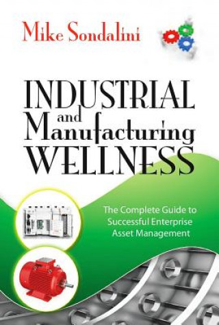 Kniha Industrial and Manufacturing Wellness Mike Sondalini