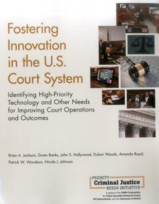 Carte Fostering Innovation in the U.S. Court System Brian A. Jackson