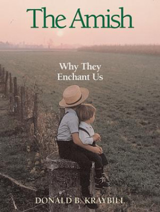 Kniha The Amish: Why They Enchant Us Donald B. Kraybill