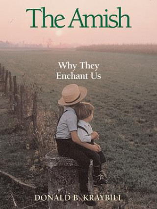 Książka The Amish: Why They Enchant Us Donald B. Kraybill