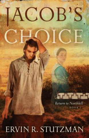 Kniha Jacob's Choice Ervin R. Stutzman