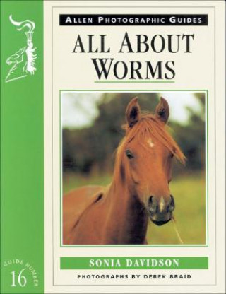 Książka All about Worms No 16 Sonia Davidson