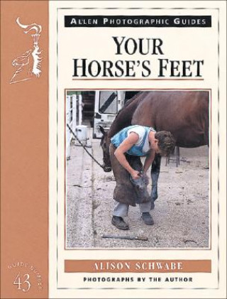 Kniha Your Horse's Feet Alison Schwabe