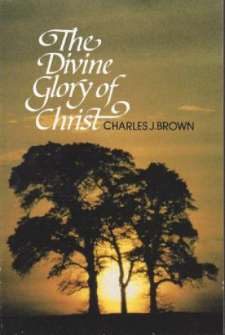 Kniha Divine Glory of Christ: Charles J. Brown