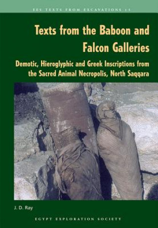 Könyv Texts from the Baboon and Falcon Galleries J. D. Ray