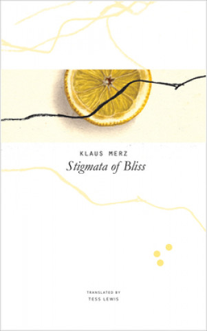 Kniha Stigmata of Bliss Merz Klaus