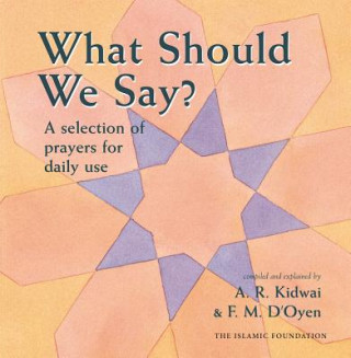 Kniha What Should We Say? Ar Kidwai