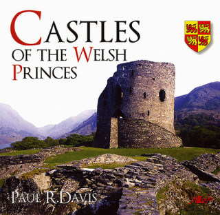 Kniha Castles of the Welsh Princes Paul R. Davis