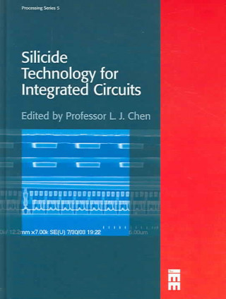 Kniha Silicide Technology for Integrated Circuits Terry Thomas