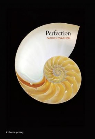 Książka Perfection Patrick Warner