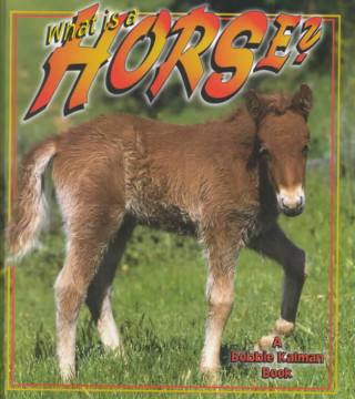 Book What Is a Horse? Bobbie Kalman