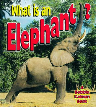 Knjiga What Is an Elephant? Bobbie Kalman