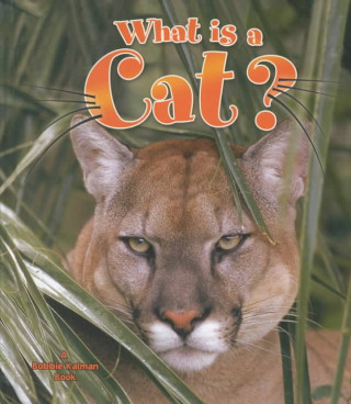 Libro What Is a Cat? Bobbie Kalman
