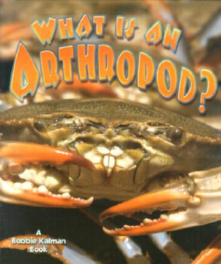 Kniha What Is an Arthropod? Kathryn Smithyman