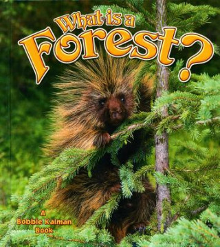 Libro What Is a Forest? Bobbie Kalman
