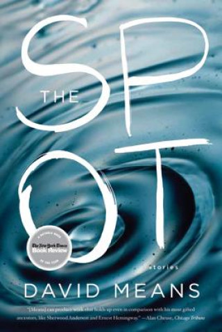 Книга The Spot David Means