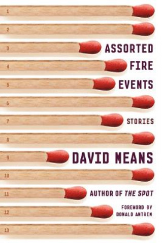 Kniha Assorted Fire Events David Means