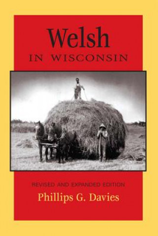 Kniha Welsh in Wisconsin Phillips G. Davies