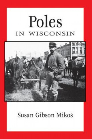 Carte Poles in Wisconsin Susan Gibson Mikos