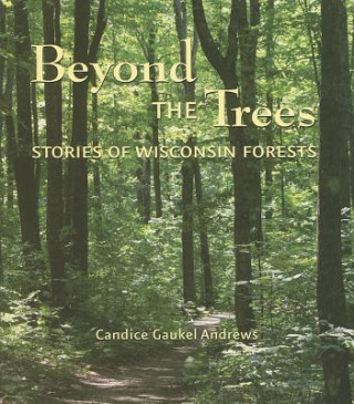 Knjiga Beyond the Trees: Stories of Wisconsin Forests Candice Gaukel Andrews