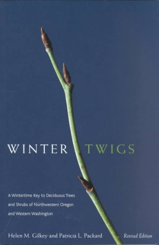 Book Winter Twigs Helen Margaret Gilkey