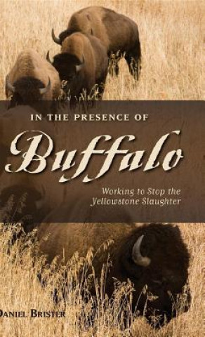 Kniha In the Presence of Buffalo Daniel Brister