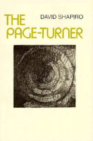 Könyv The Page-Turner David Shapiro