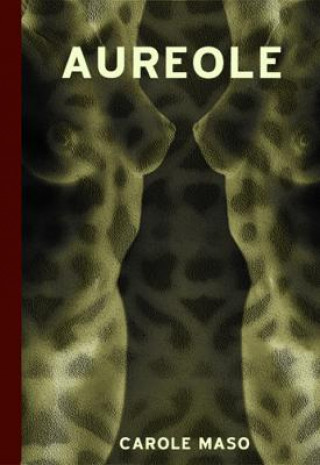 Book Aureole Carole Maso