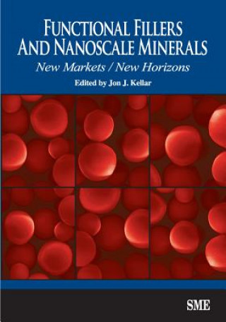 Kniha Functional Fillers and Nanoscale Minerals Jon J. Kellar