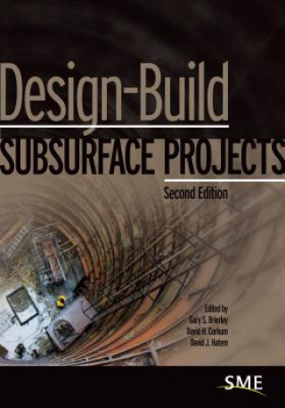 Kniha Design-Build Subsurface Projects Gary S. Brierley