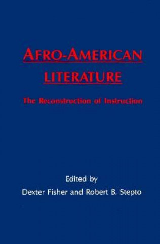 Buch Afro-American Literature Dexter Fisher