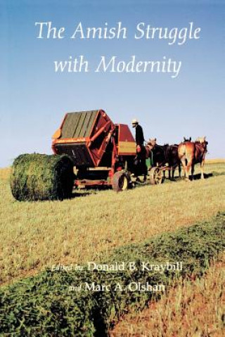 Book Amish Struggle with Modernity Donald B. Kraybill