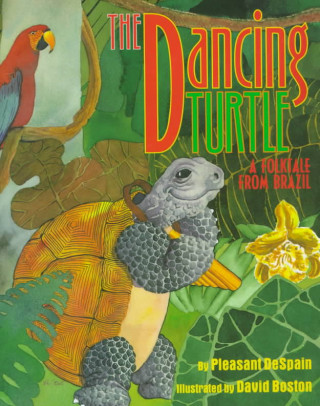 Βιβλίο Dancing Turtle Pleasant DeSpain