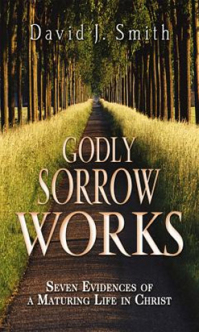 Kniha GODLY SORROW WORKS David J. Smith